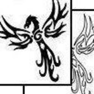 Meet your Posher, Sherri